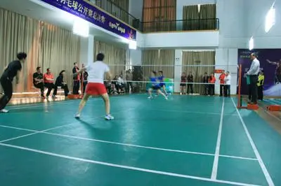 条小龙阶段 条小龙阶段